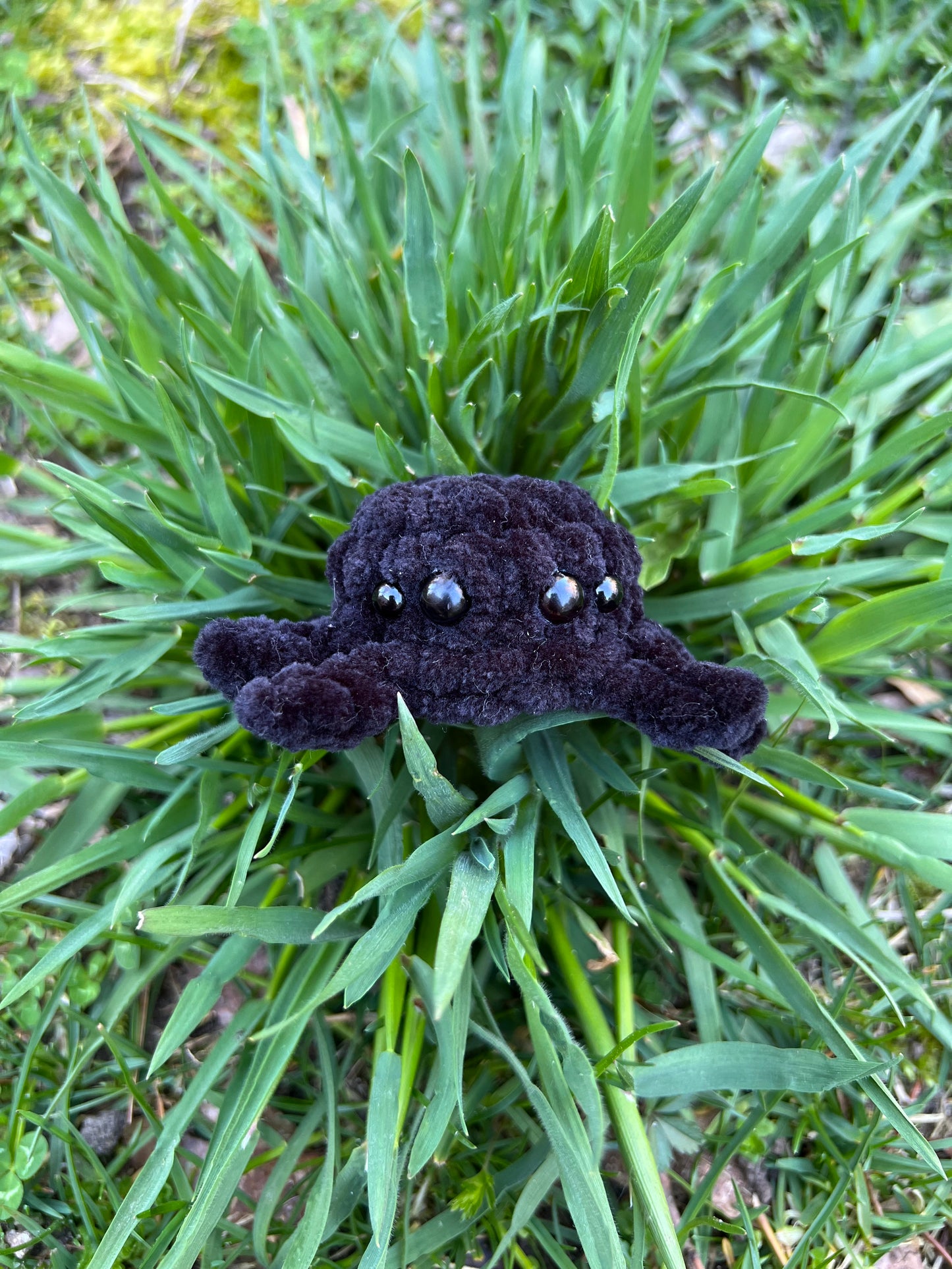 READY TO SHIP - Stress Ball Baby Spider - Black