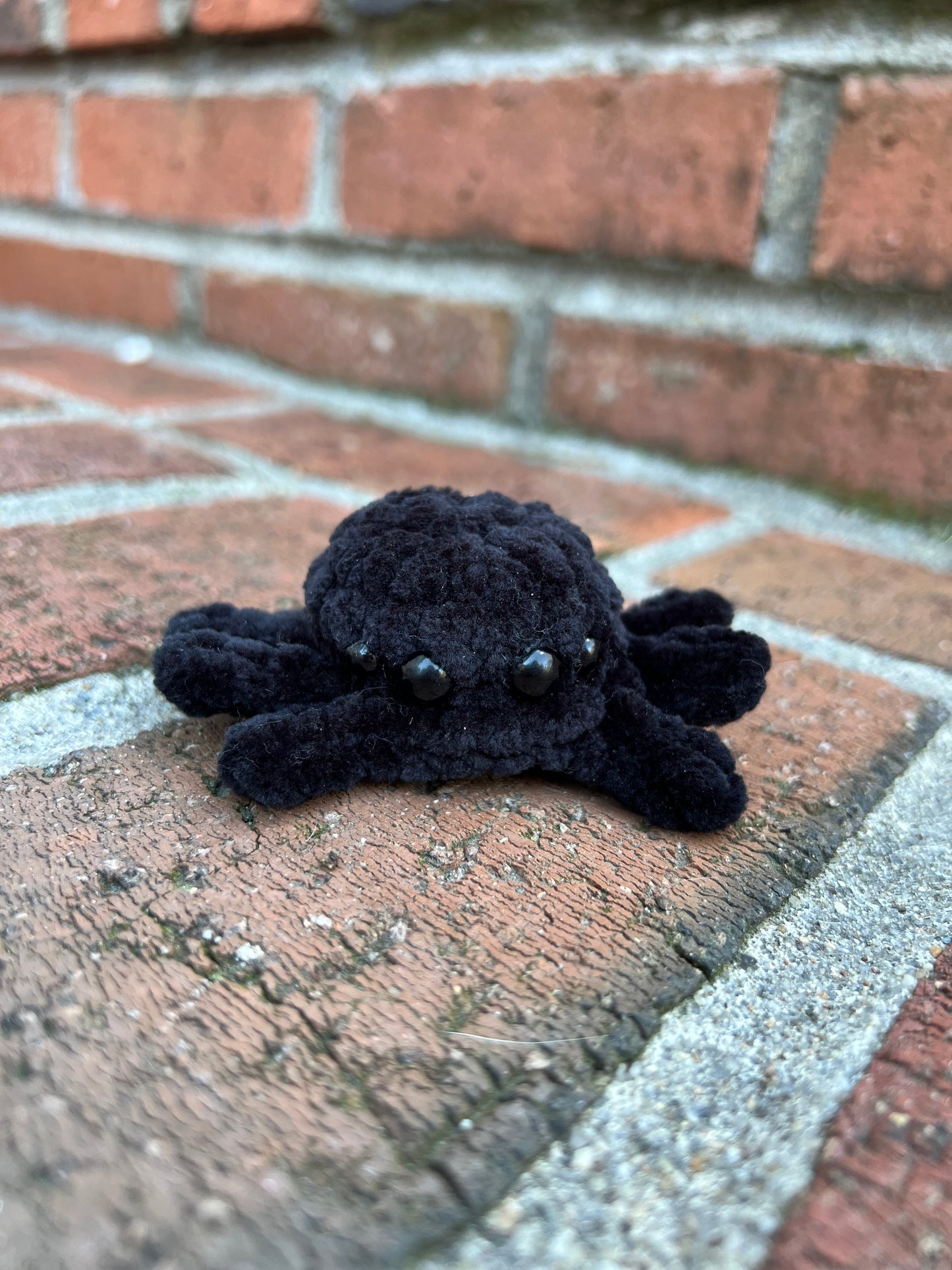 READY TO SHIP - Stress Ball Baby Spider - Black